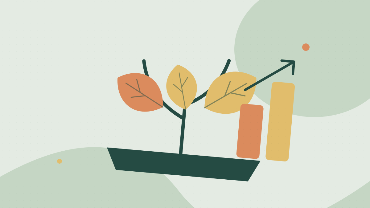 Provider Earnings Dashboard: Track Income & Growth on p69