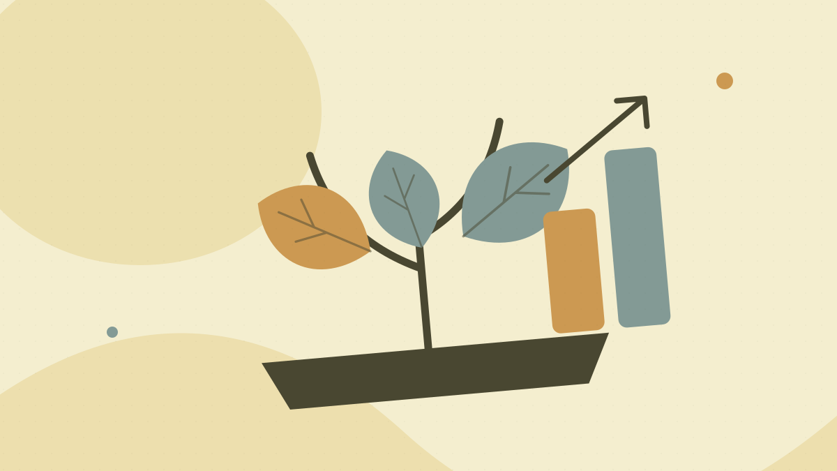 Regional Pricing Intelligence: Smart Rate Optimization for Providers